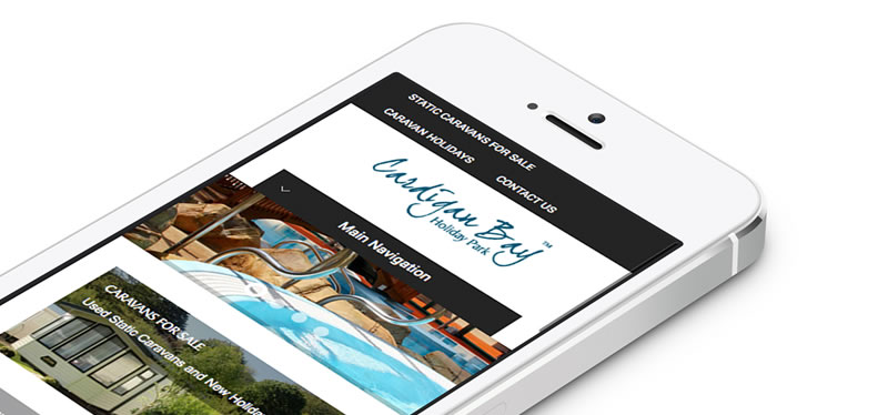 View Cardigan Bay Holiday Park Client Details